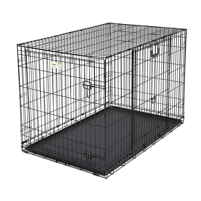 Archie & Oscar™ Ovation Trainer Double Door Pet Crate & Reviews Wayfair